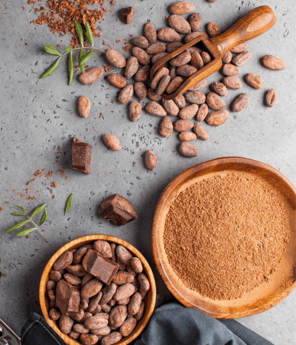 F2508 Chocolate and Your Health