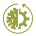 cognitive enhancement