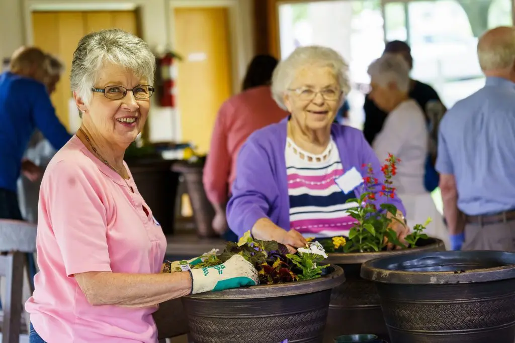 flower potting class 1