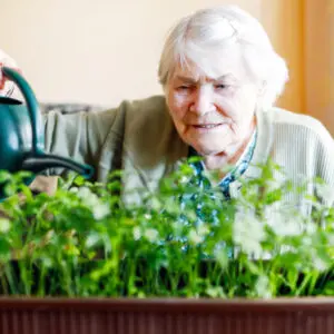 Lansdale nursing home
