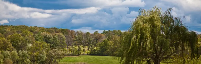 Dock Meadows Changes its Name to The Willows of Living Branches