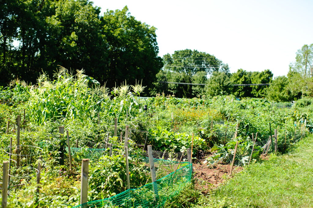 The community garden, located near the intersection of Dock Drive and Detwiler Road, is open to all residents at Dock Woods’ senior residential living community.