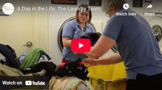 A Day in the Life of Our Team Members