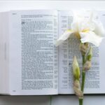 Christian Conflict