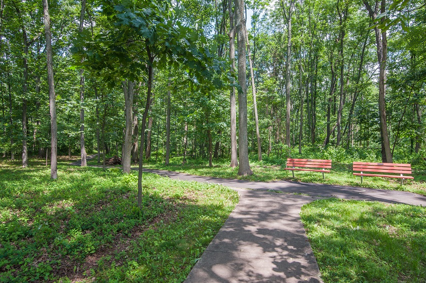 Take a stroll along the wooded paths throughout the Dock Woods retirement community