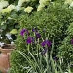 Small Gardens