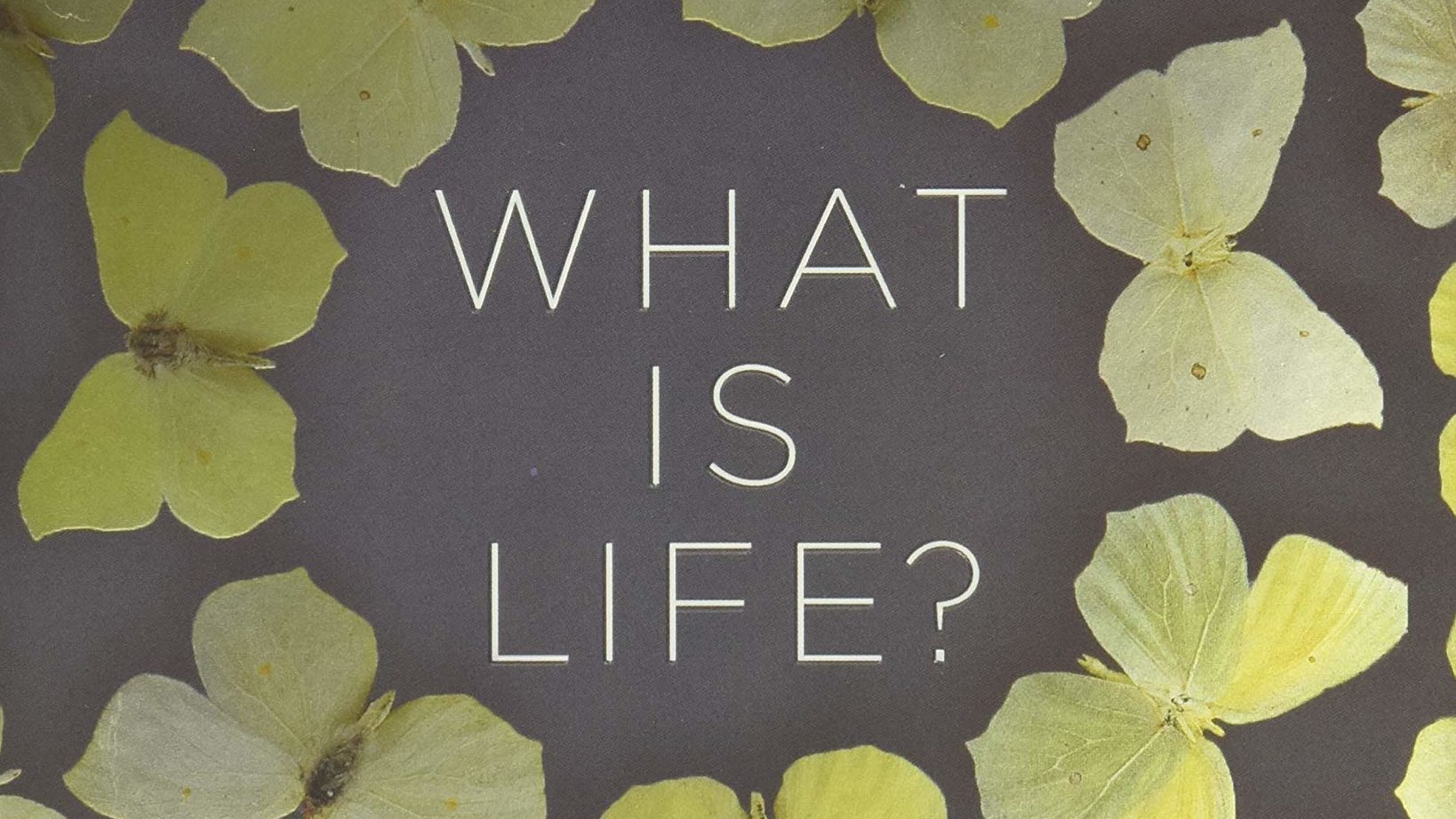 What Is Life book