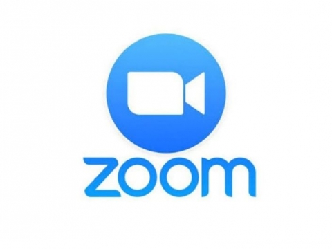 An Introduction to Zoom